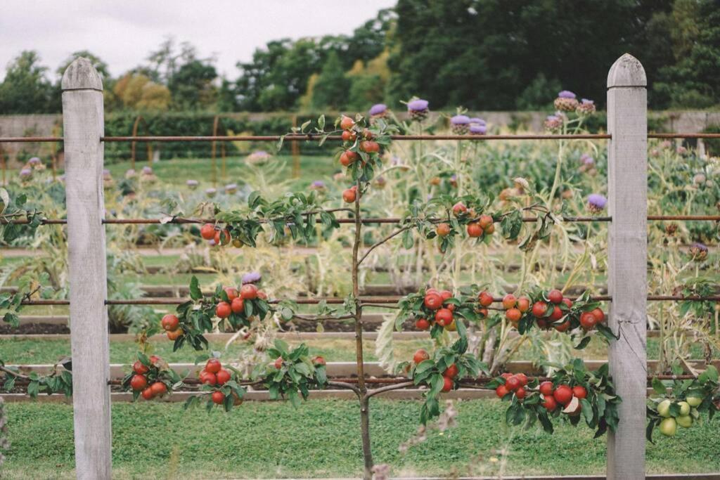 Garden Cottage, Fochabers Bagian luar foto